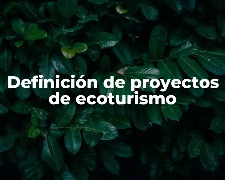 Definición de proyectos de ecoturismo
