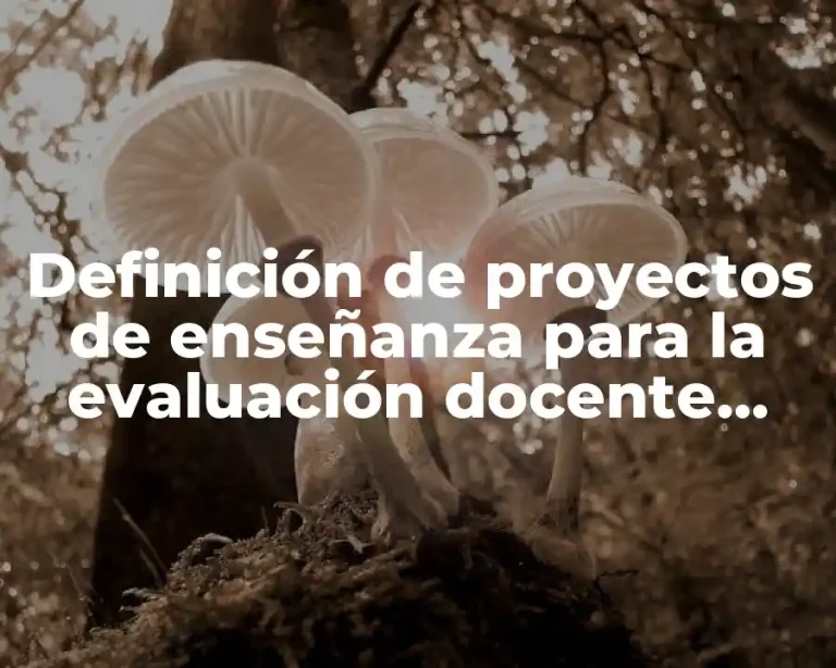 Definición de proyectos de enseñanza para la evaluación docente preescolar
