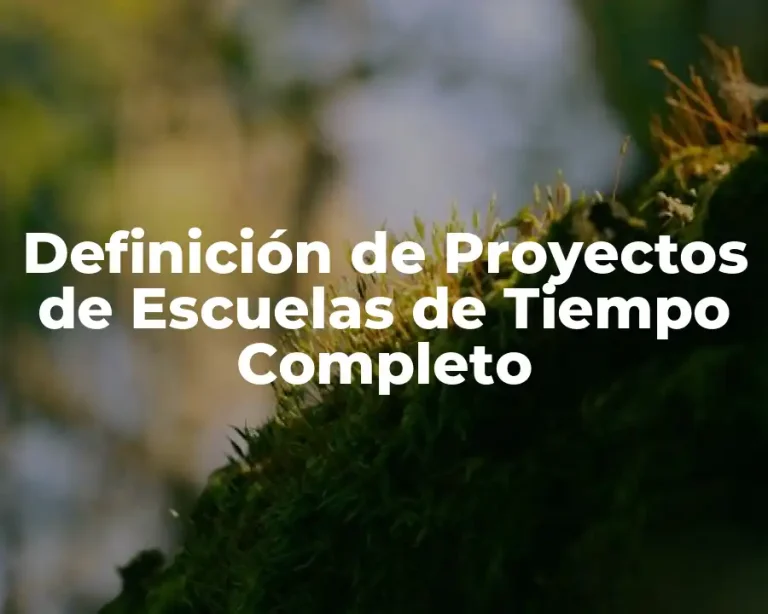Definición de Proyectos de Escuelas de Tiempo Completo
