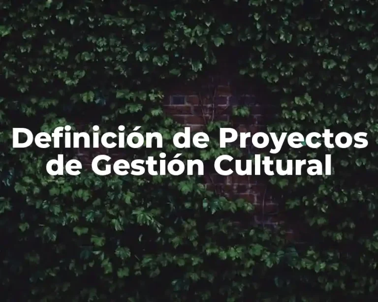 Definición de Proyectos de Gestión Cultural