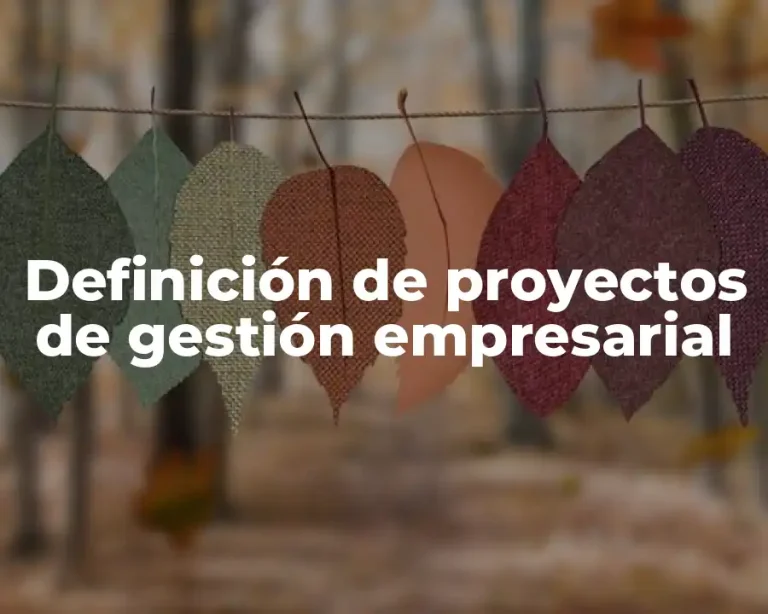 Definición de proyectos de gestión empresarial