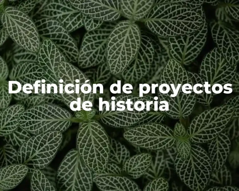 Definición de proyectos de historia