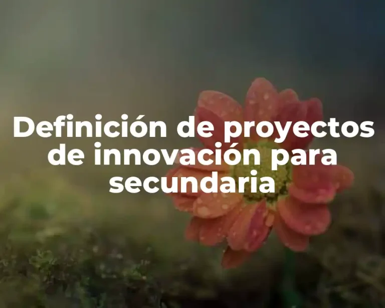 Definición de proyectos de innovación para secundaria