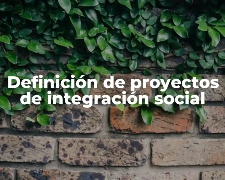 Definición de proyectos de integración social