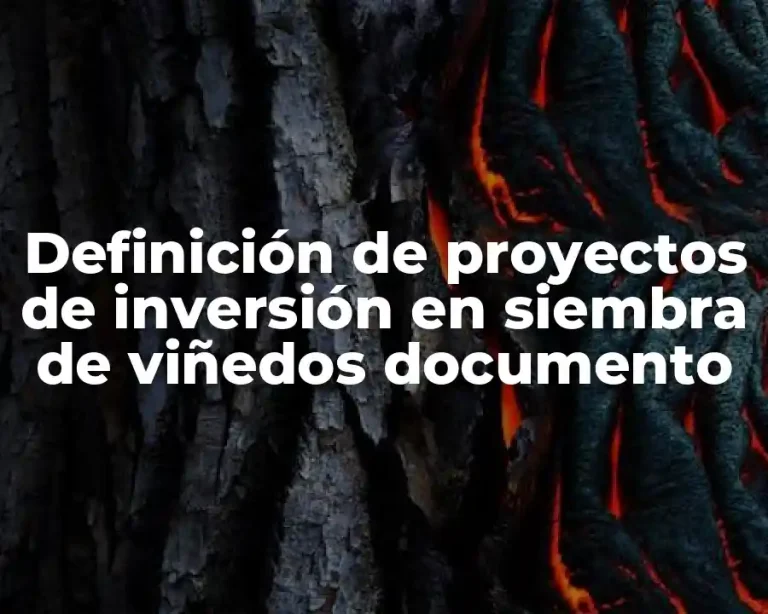 Definición de proyectos de inversión en siembra de viñedos documento
