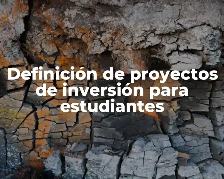 Definición de proyectos de inversión para estudiantes