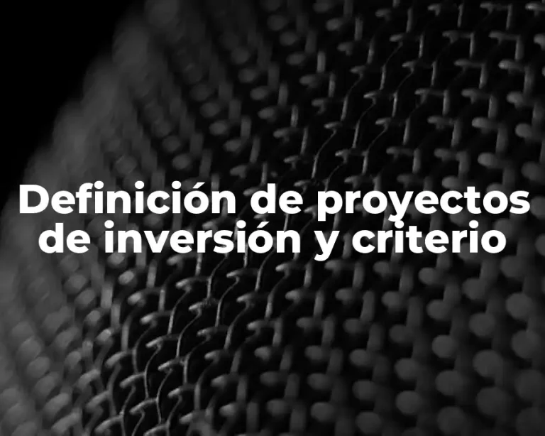 Definición de proyectos de inversión y criterio