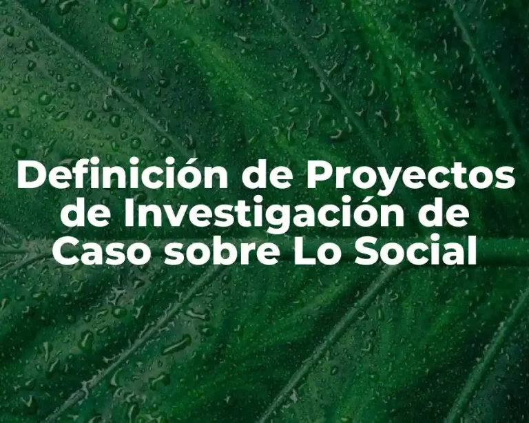 Definición de Proyectos de Investigación de Caso sobre Lo Social