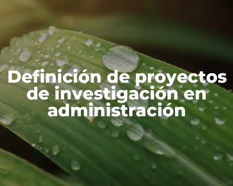 Definición de proyectos de investigación en administración
