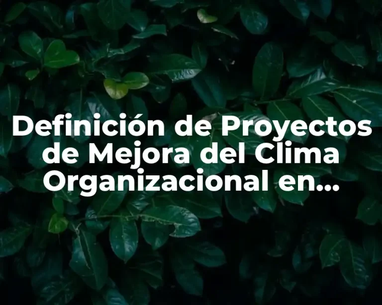 Definición de Proyectos de Mejora del Clima Organizacional en Enfermería