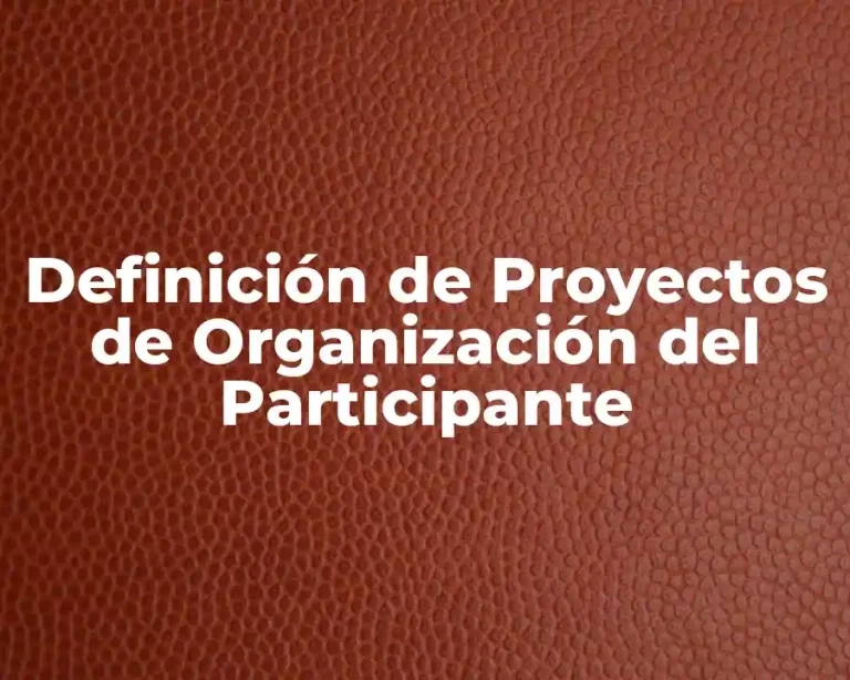 Definición de Proyectos de Organización del Participante