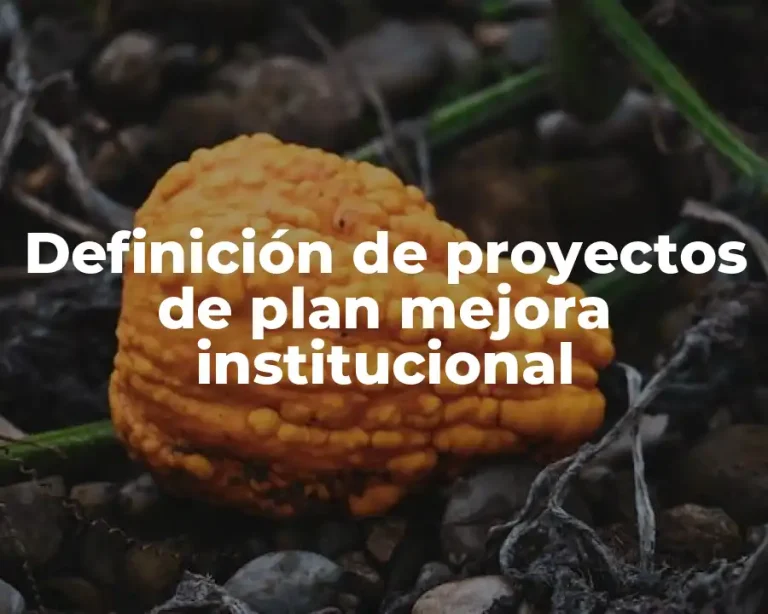Definición de proyectos de plan mejora institucional