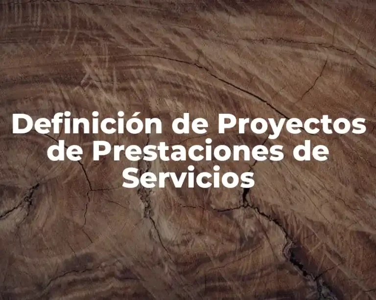 Definición de Proyectos de Prestaciones de Servicios