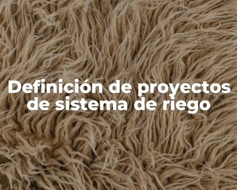 Definición de proyectos de sistema de riego