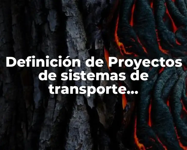 Definición de Proyectos de sistemas de transporte multimodales