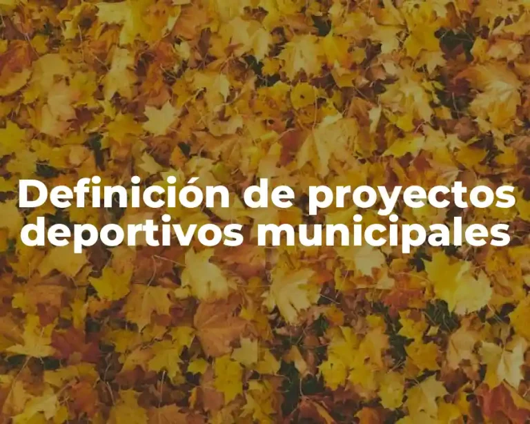 Definición de proyectos deportivos municipales