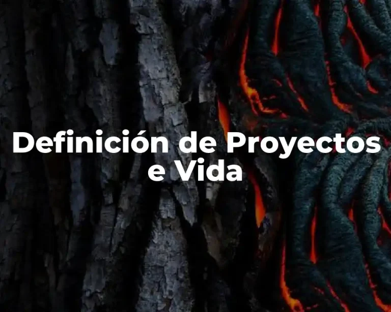 Definición de Proyectos e Vida