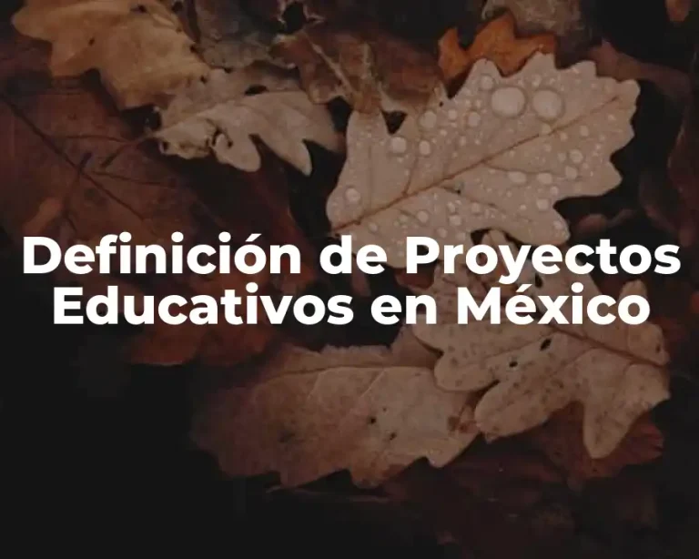 Definición de Proyectos Educativos en México