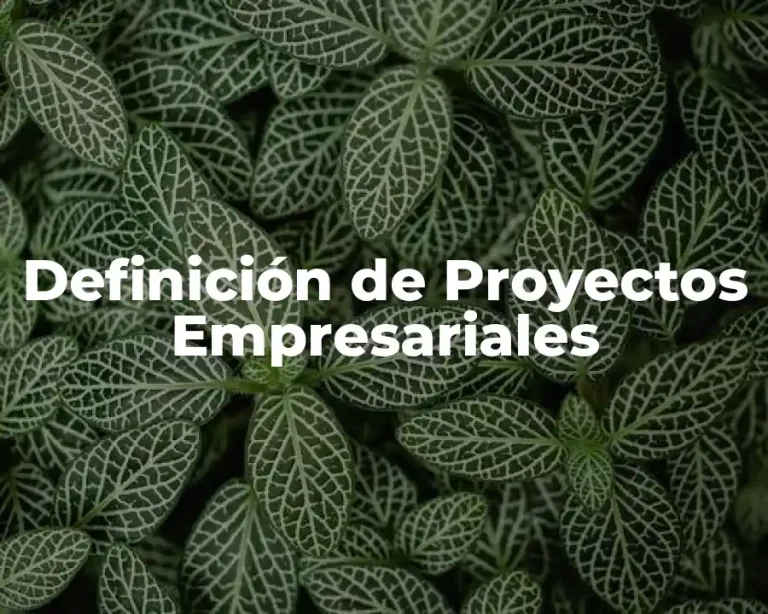 Definición de Proyectos Empresariales