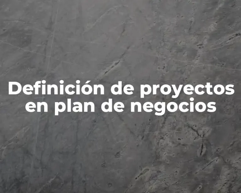 Definición de proyectos en plan de negocios