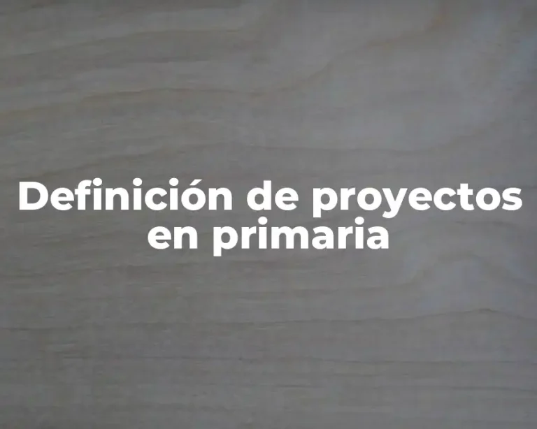 Definición de proyectos en primaria