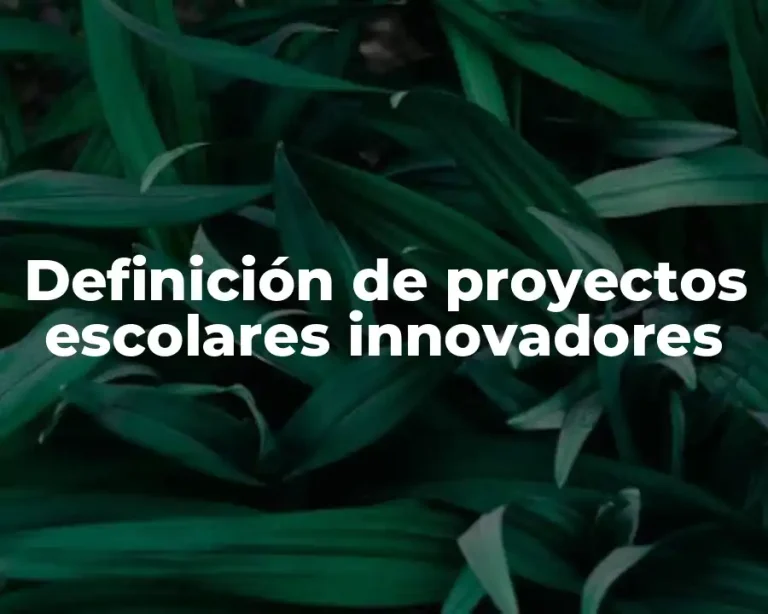 Definición de proyectos escolares innovadores