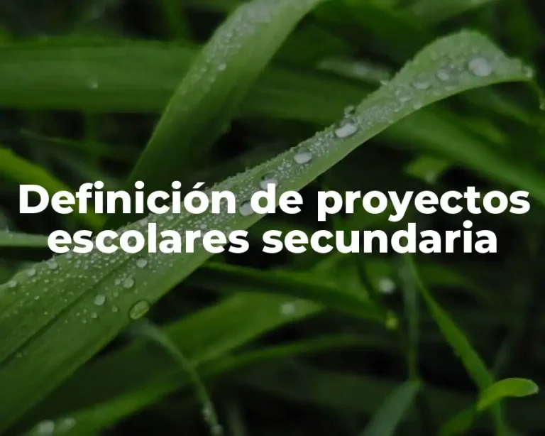 Definición de proyectos escolares secundaria