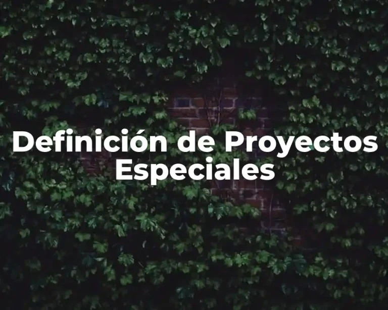 Definición de Proyectos Especiales