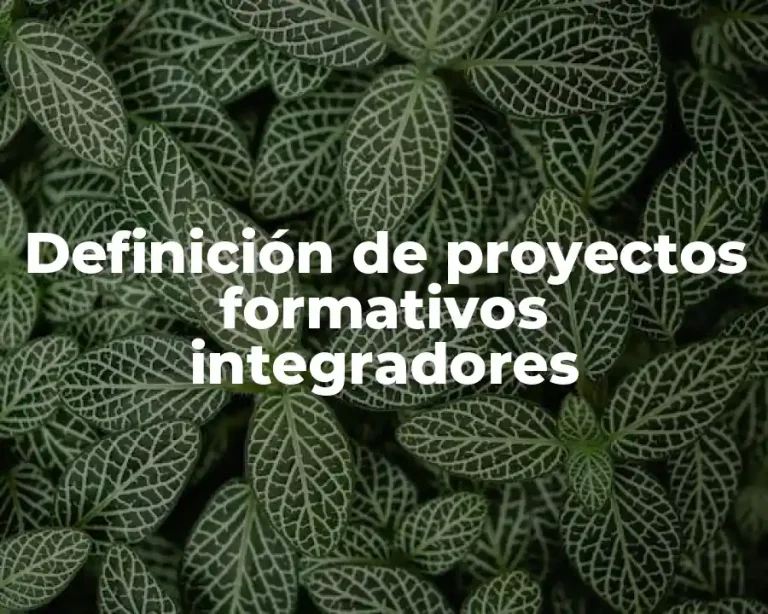 Definición de proyectos formativos integradores