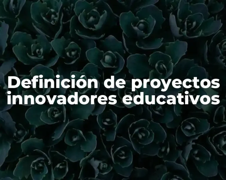 Definición de proyectos innovadores educativos