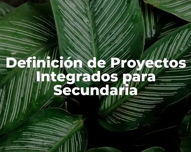 Definición de Proyectos Integrados para Secundaria