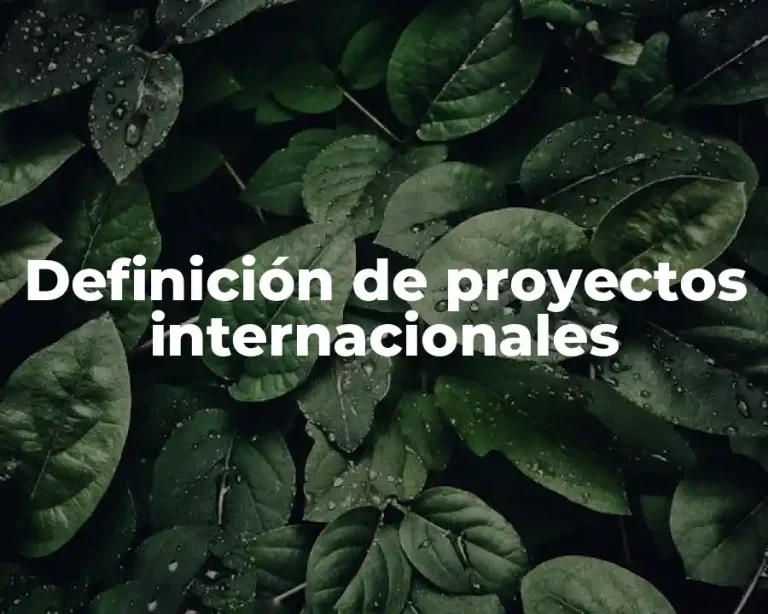 Definición de proyectos internacionales
