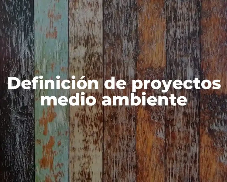 Definición de proyectos medio ambiente
