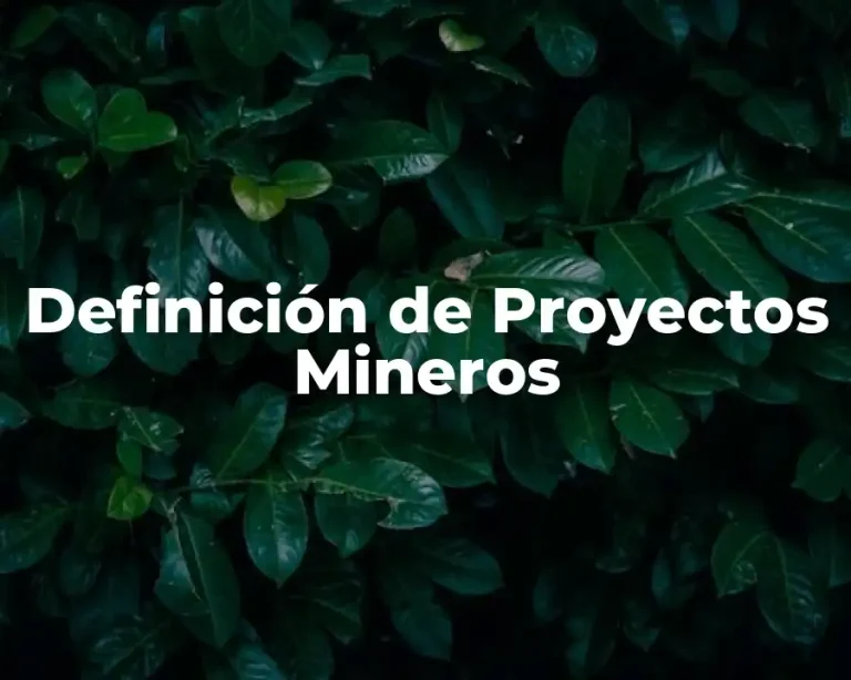 Definición de Proyectos Mineros