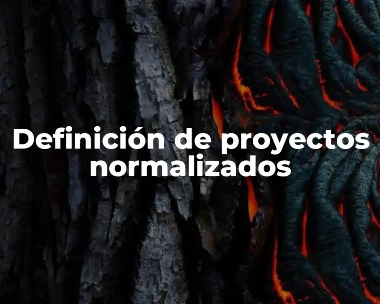 Definición de proyectos normalizados