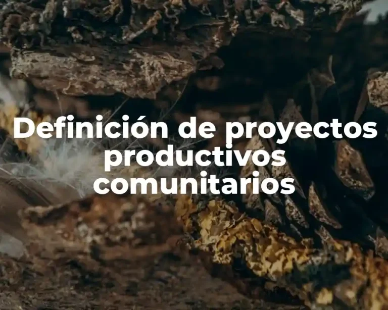 Definición de proyectos productivos comunitarios