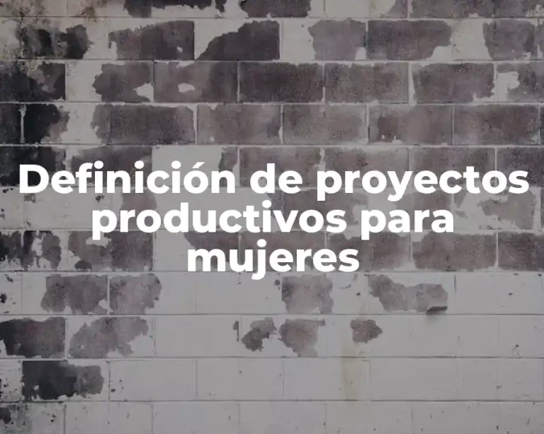 Definición de proyectos productivos para mujeres
