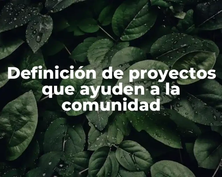 Definición de proyectos que ayuden a la comunidad