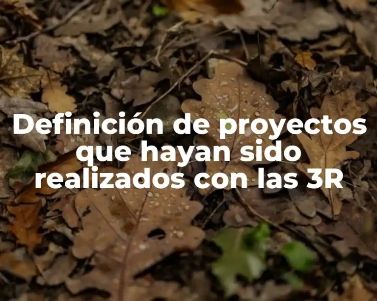 Definición de proyectos que hayan sido realizados con las 3R