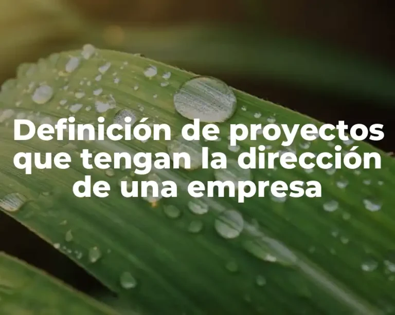 Definición de proyectos que tengan la dirección de una empresa