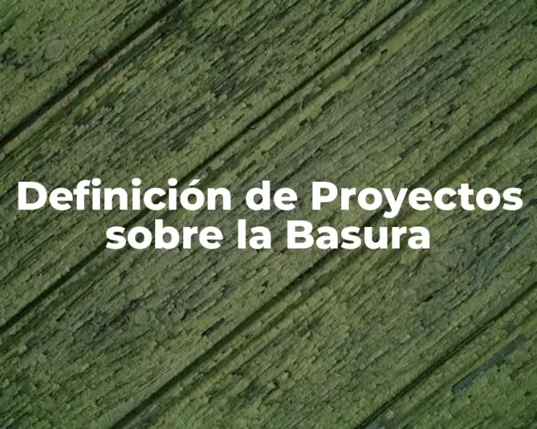 Definición de Proyectos sobre la Basura