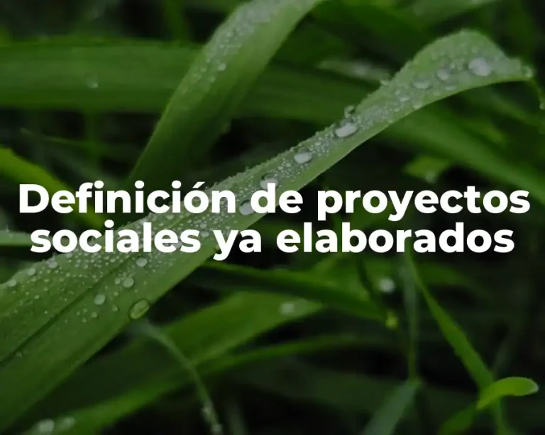 Definición de proyectos sociales ya elaborados