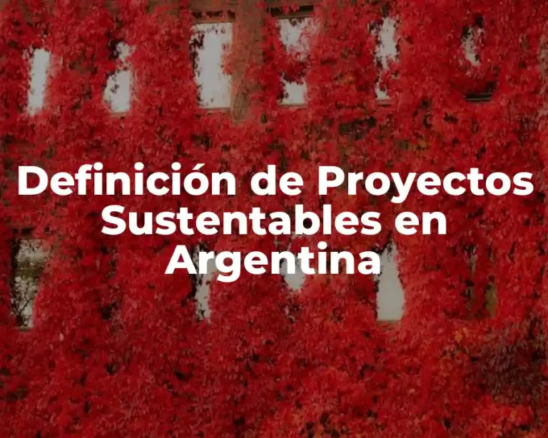 Definición de Proyectos Sustentables en Argentina