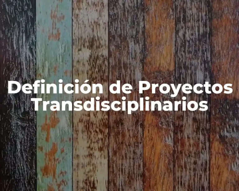 Definición de Proyectos Transdisciplinarios