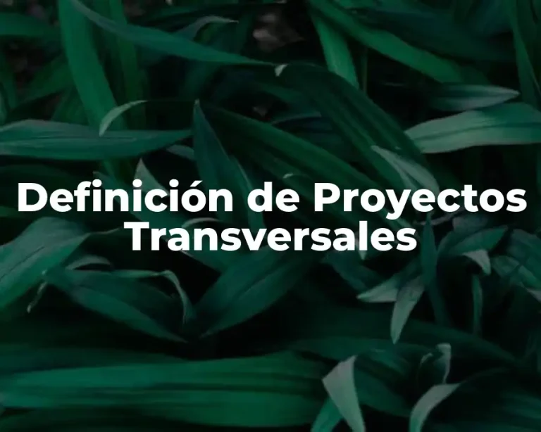 Definición de Proyectos Transversales