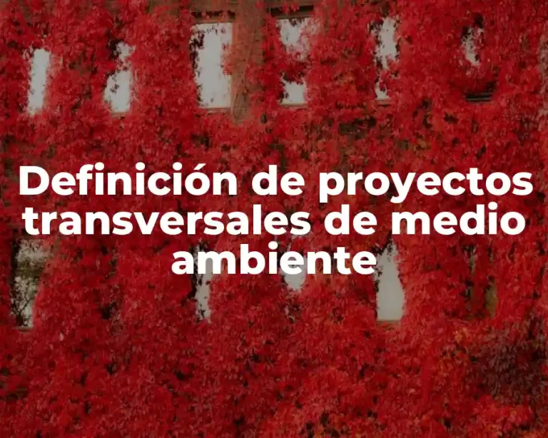Definición de proyectos transversales de medio ambiente