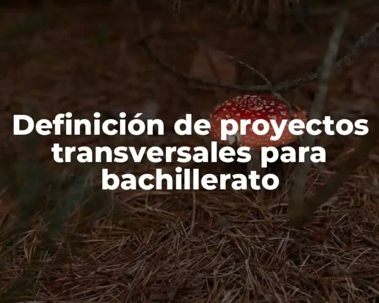 Definición de proyectos transversales para bachillerato