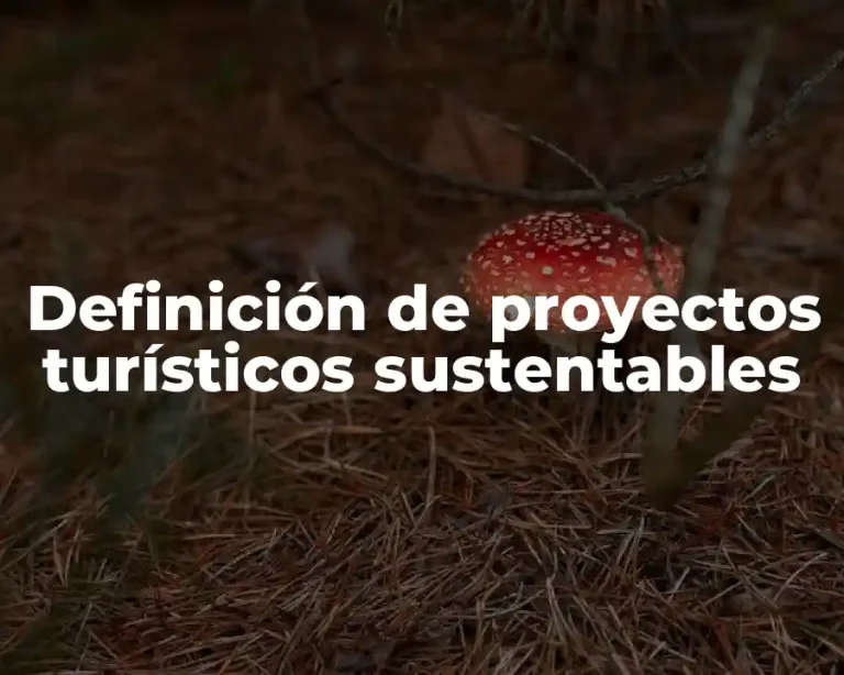 Definición de proyectos turísticos sustentables