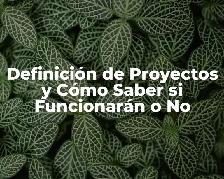 Definición de Proyectos y Cómo Saber si Funcionarán o No