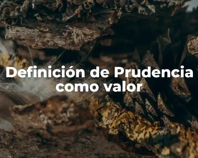 Definición de Prudencia como valor